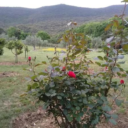 Il Brecciaro Alloggio in famiglia San Felice Circeo